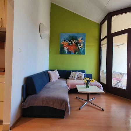 Janja Apartment Novigrad Istria Exterior foto